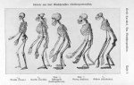 biolib_04