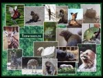 tierwissen