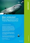 Meer-entdecken